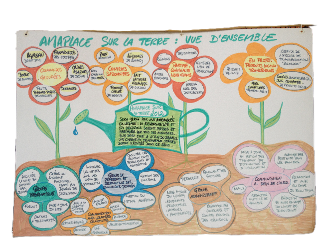 À partir de 2015 – L'association se développe AMAP