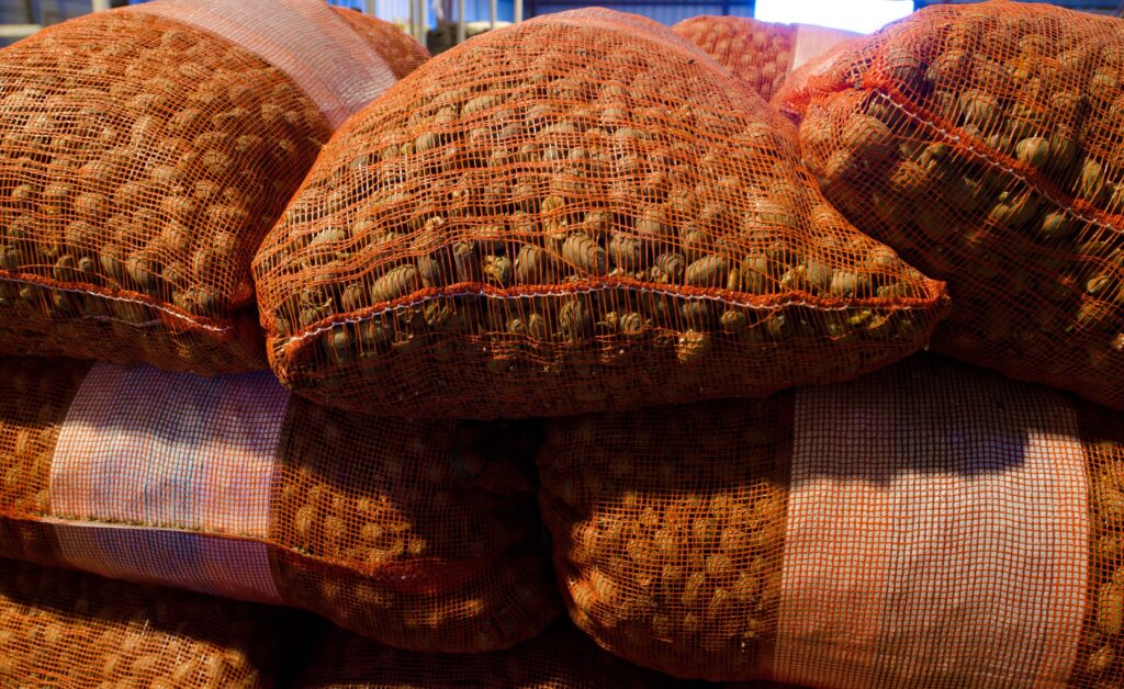 sacks pecans 1 sacks pecans 1
