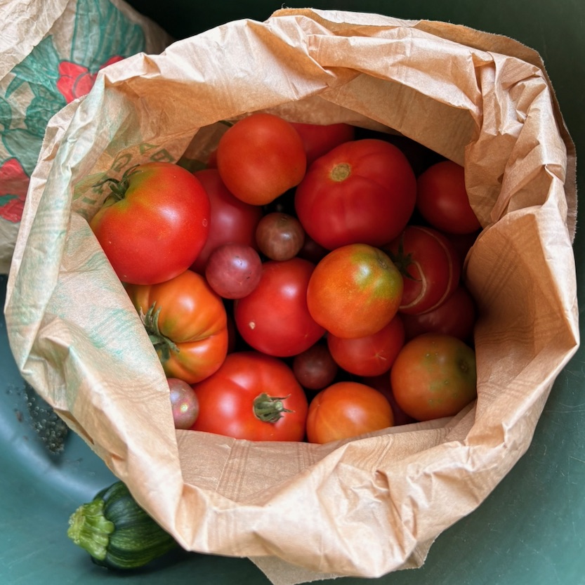 sac tomates